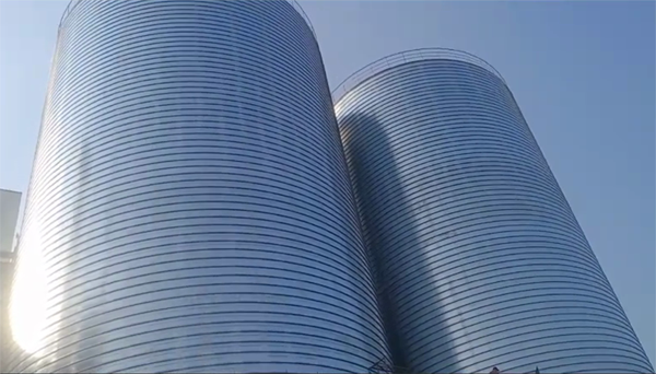 黄流镇2座混凝土高架卷板仓